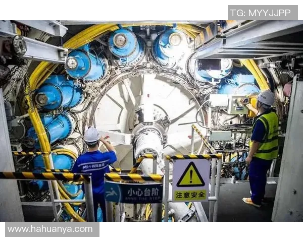 武汉排球队逆袭全国锦标赛的辉煌历程与背后故事揭秘