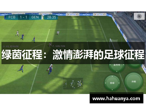 绿茵征程：激情澎湃的足球征程