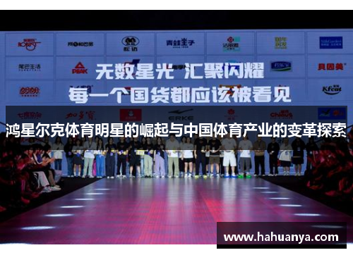 鸿星尔克体育明星的崛起与中国体育产业的变革探索